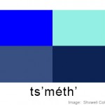illustration for ts'méth' ('blue')